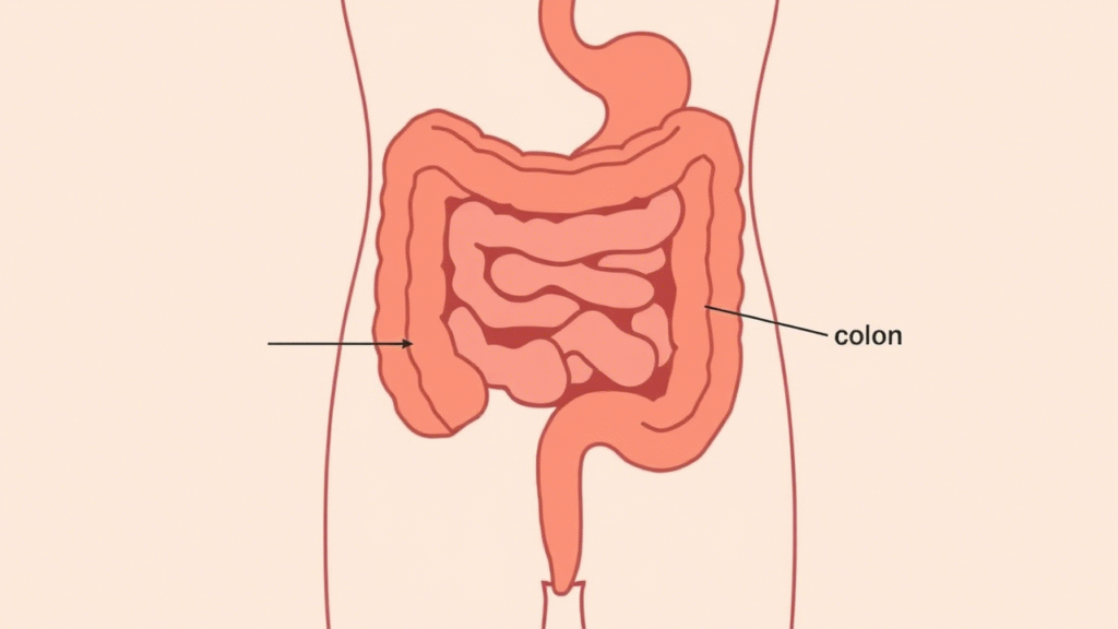 Irritable Bowel Syndrome (IBS)